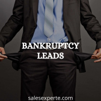 Bankruptcy Leads