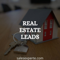 Real Estate Leads