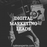 Digital Marketing Leads